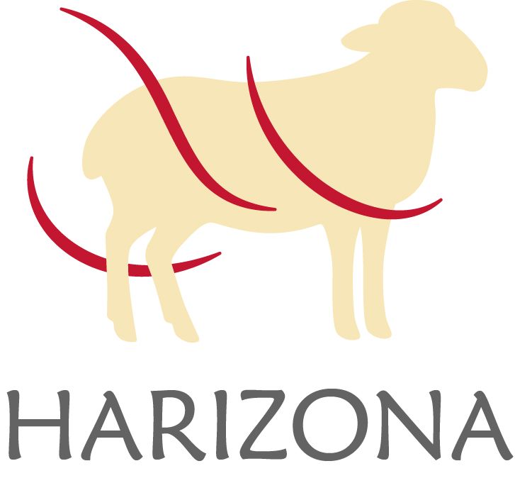 Harizona-suite (2024-2028)