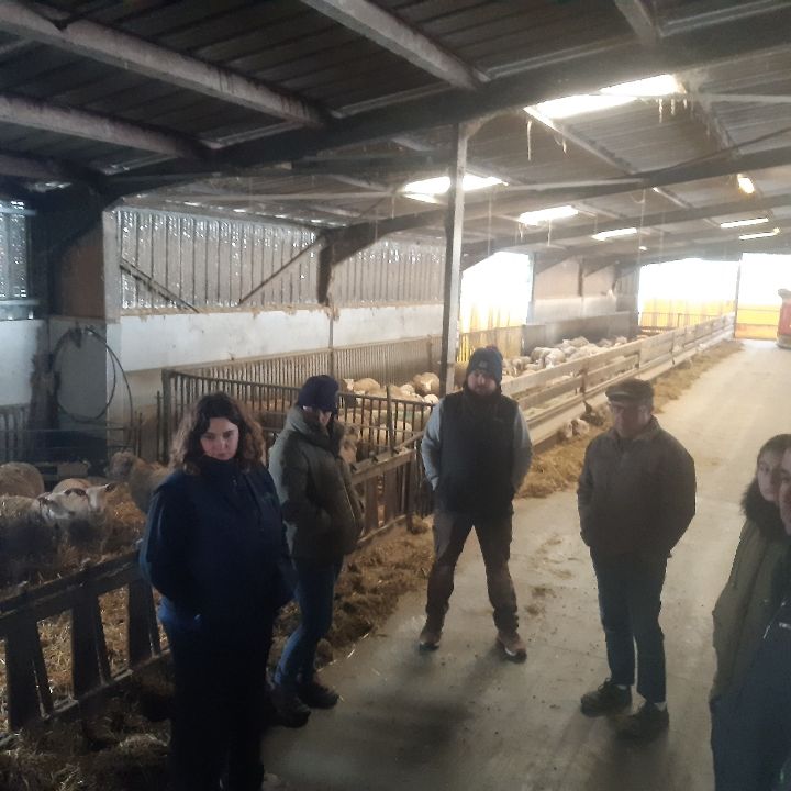 Transition agroécologique en ovin (2025-2027)